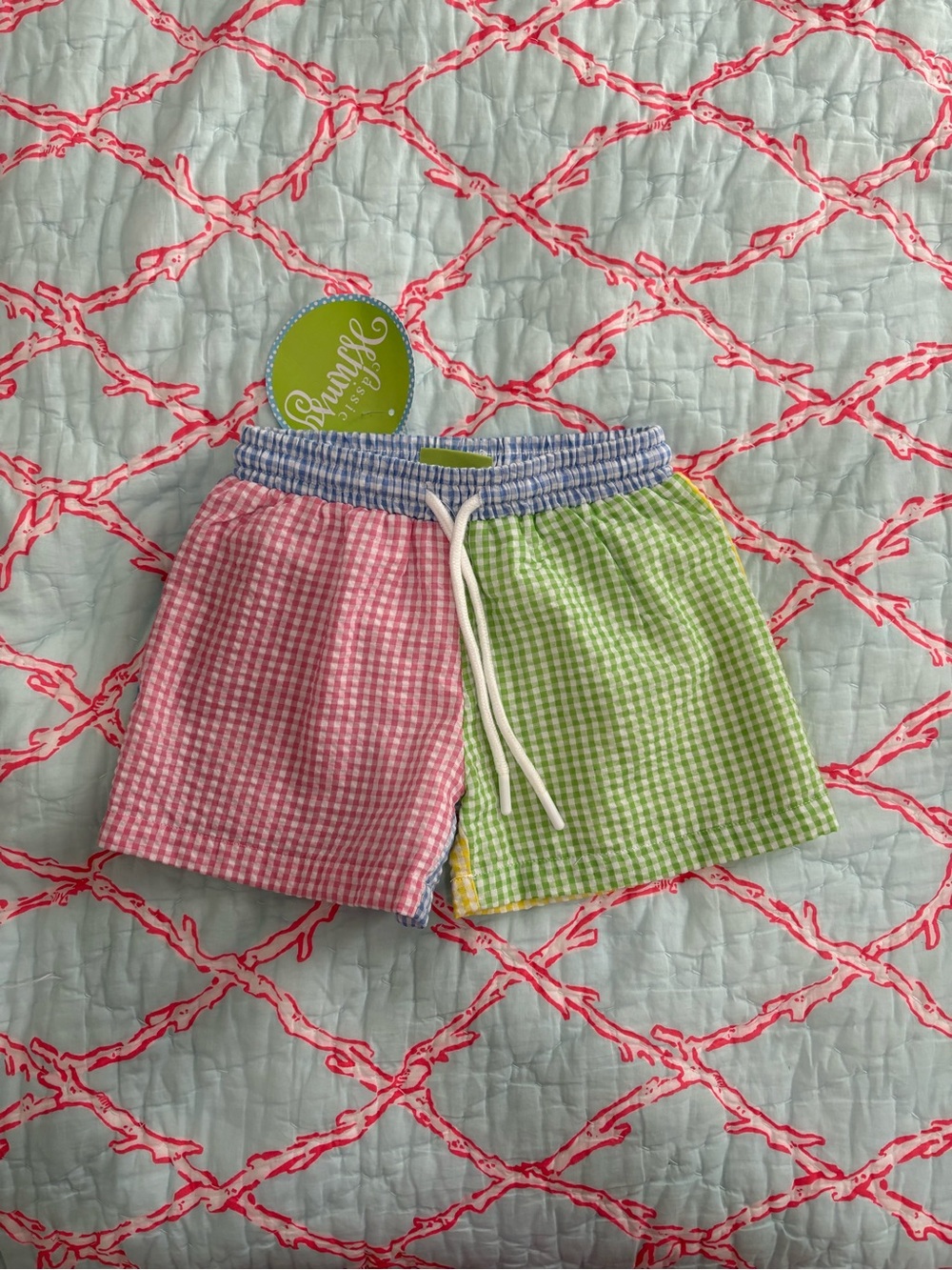 Classic Whimsy Boys Swim Trunks NWT 0-6 mo